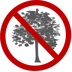 No Trees